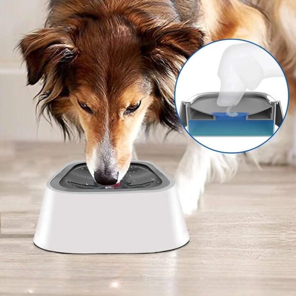 Miniatura 2 de Tazon Bebedero De Agua Anti Salpicaduras